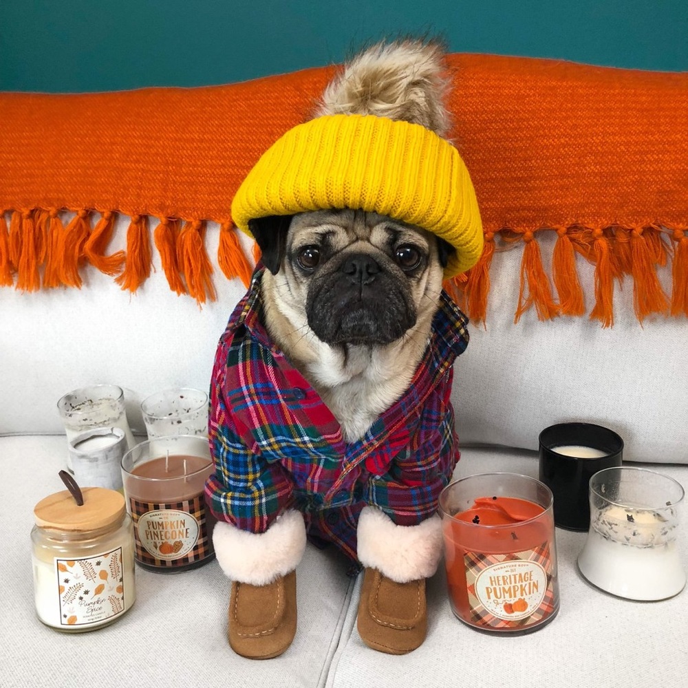 Meet your Posher, Brandi